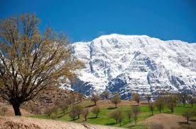 زمان مورد نیاز شامل حروفچینی دستاوردهای اصلی