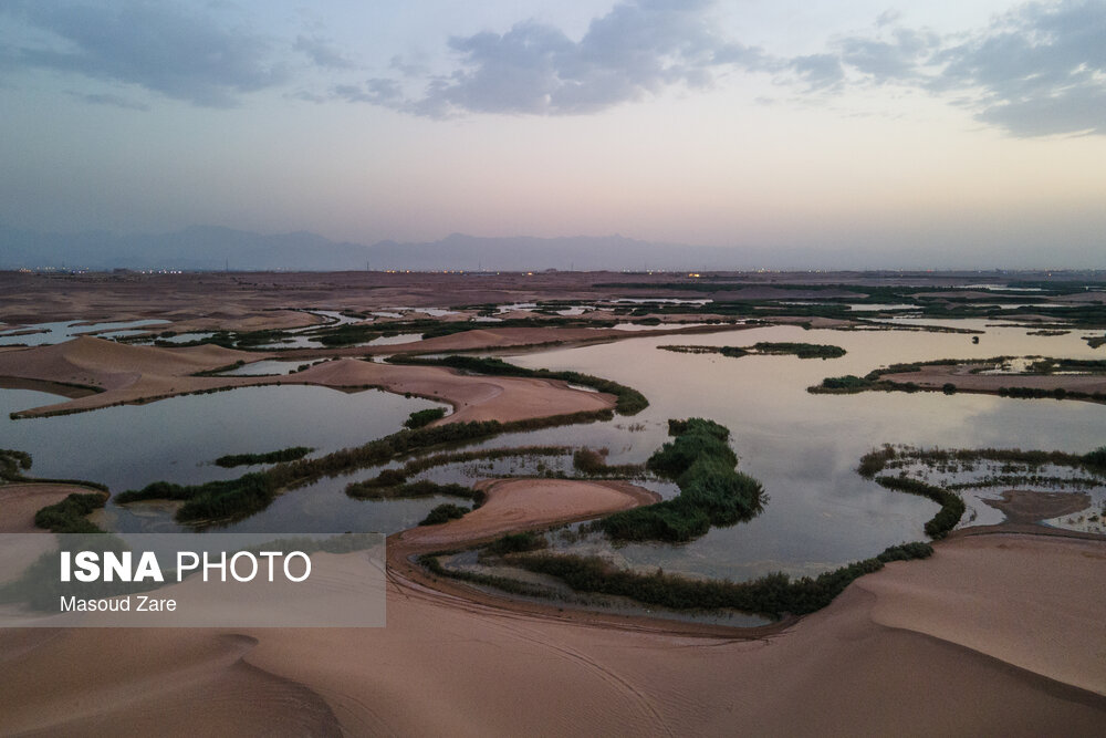 تالاب پساب یزد؛ گنجی رها شده در کویر یا معضلی که نفس شهر را تنگ کرده است؟