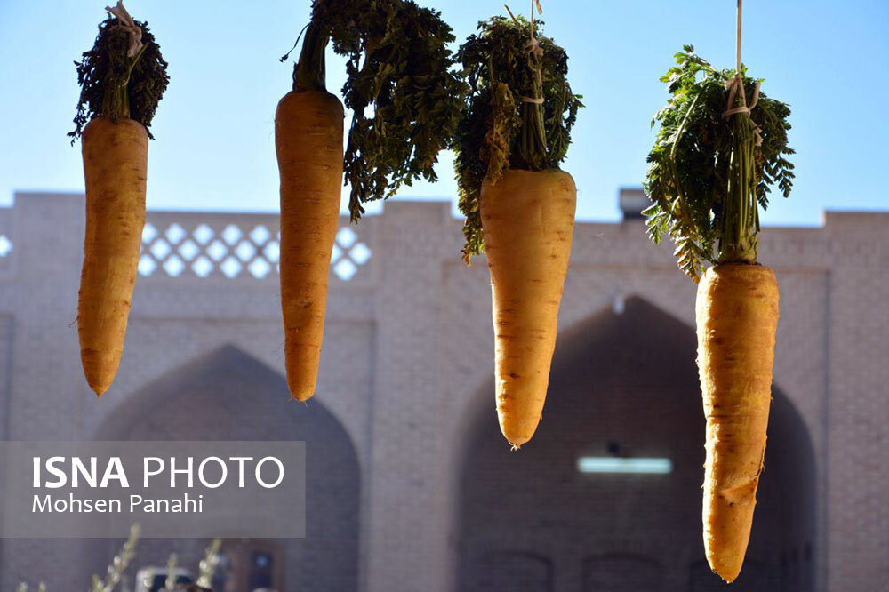 لغو جشنواره زردک خرانق به دلیل هشدارهای هواشناسی